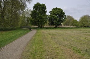 Photo7- click for photo gallery